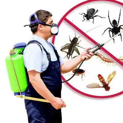 pest control Campbellsburg